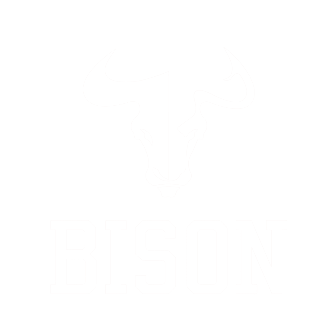 BISON Logo
