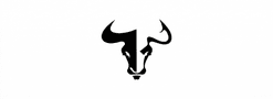 BISON 